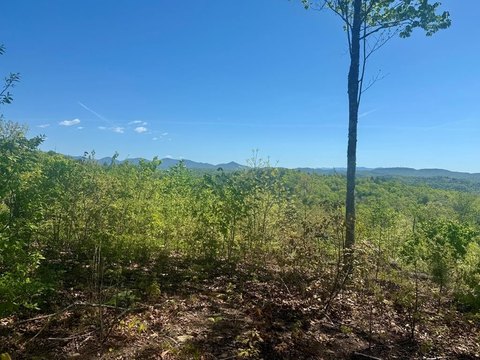 Land in The Ridges