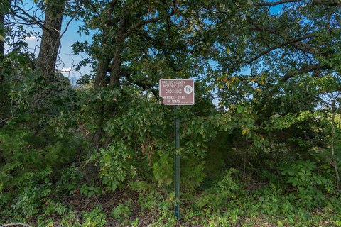 Brookline Land Opportunity