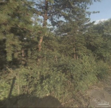 Land, Birmingham, AL