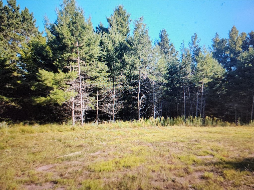 Picture 11