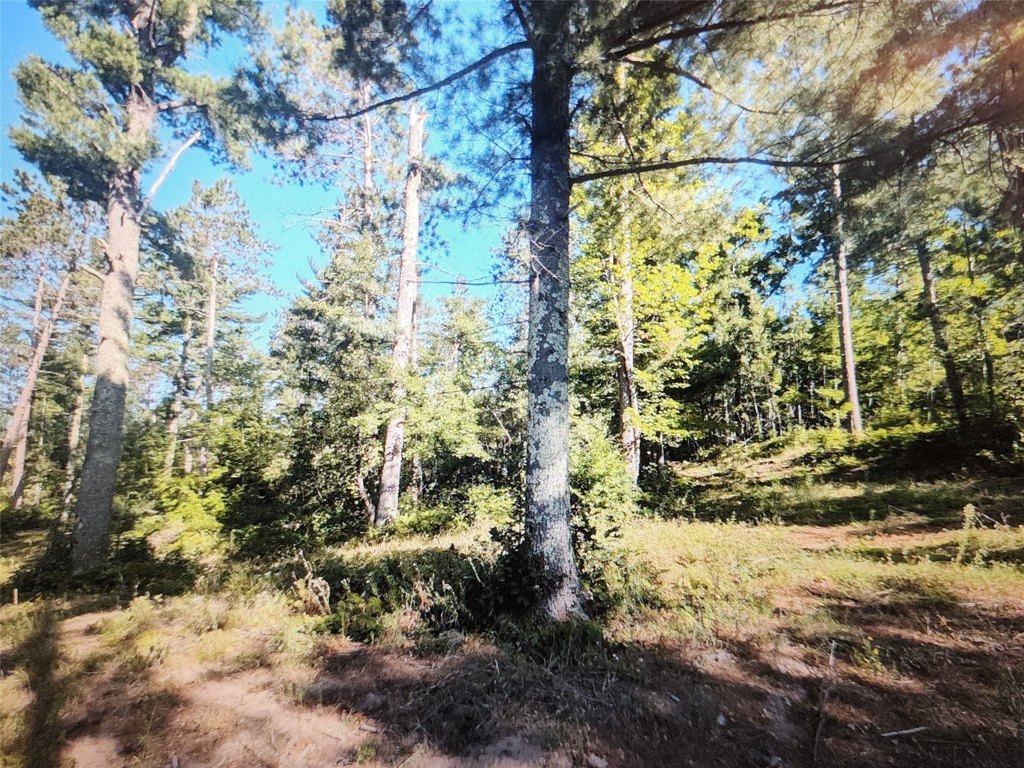 Picture 10