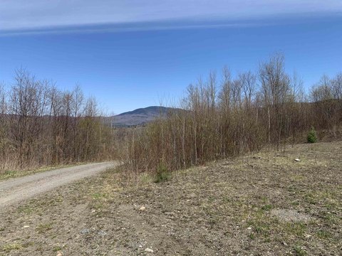 Wooded Recreational Land Tract