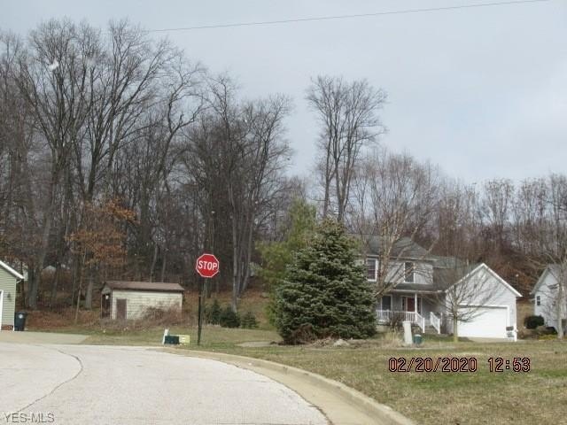 Picture 5