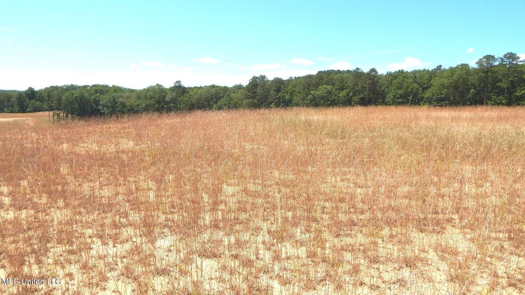 Grenada Lake Area Land