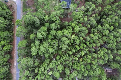 Forested Land in Royal Trails