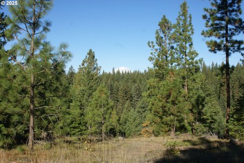 80 Acres in Ranger Meadows