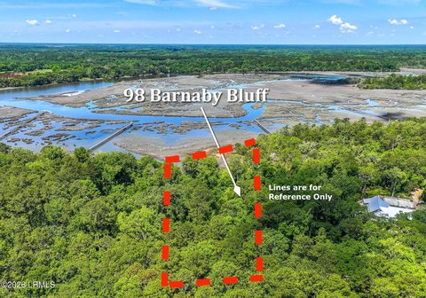 Waterfront Marshfront Lot with Angel Oak
