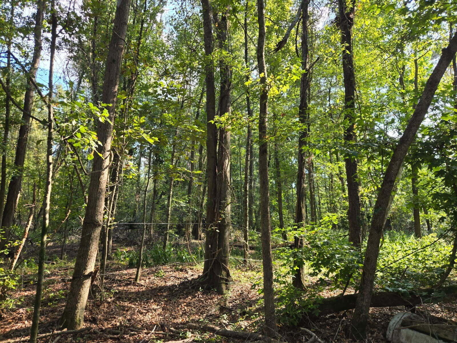 Beech Island Land For Sale