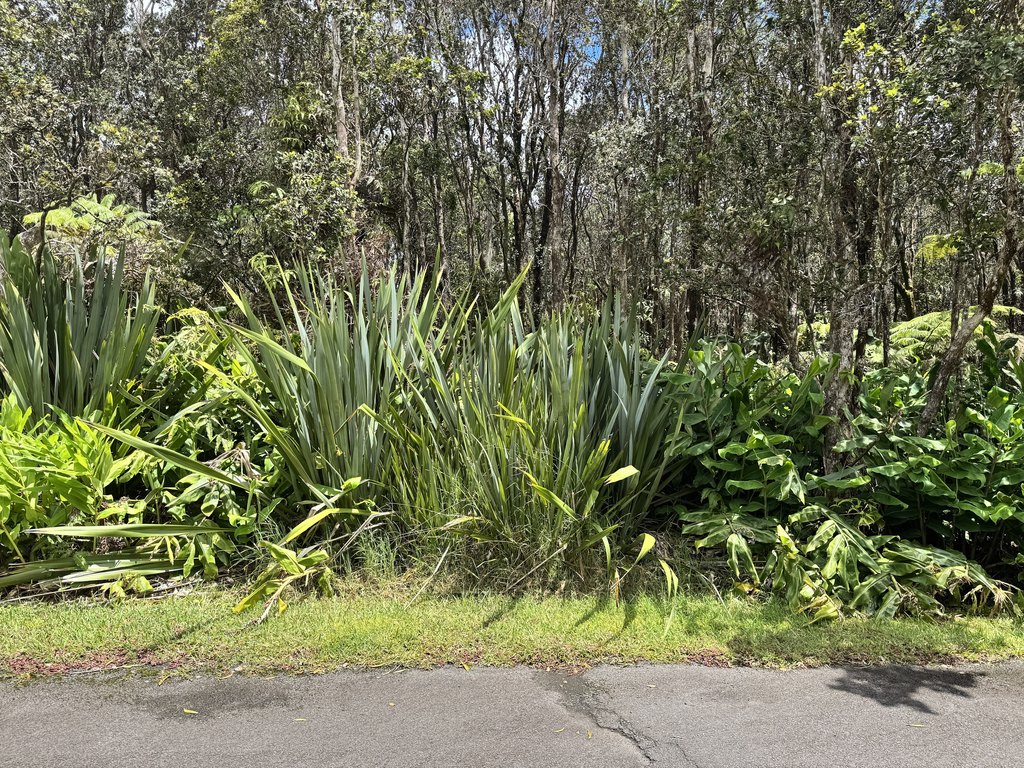 Picture 11