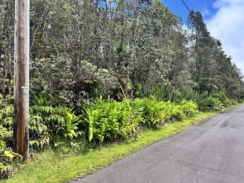 LAND - Volcano, HI