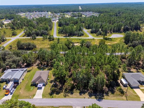 Land, CITRUS SPRINGS, FL
