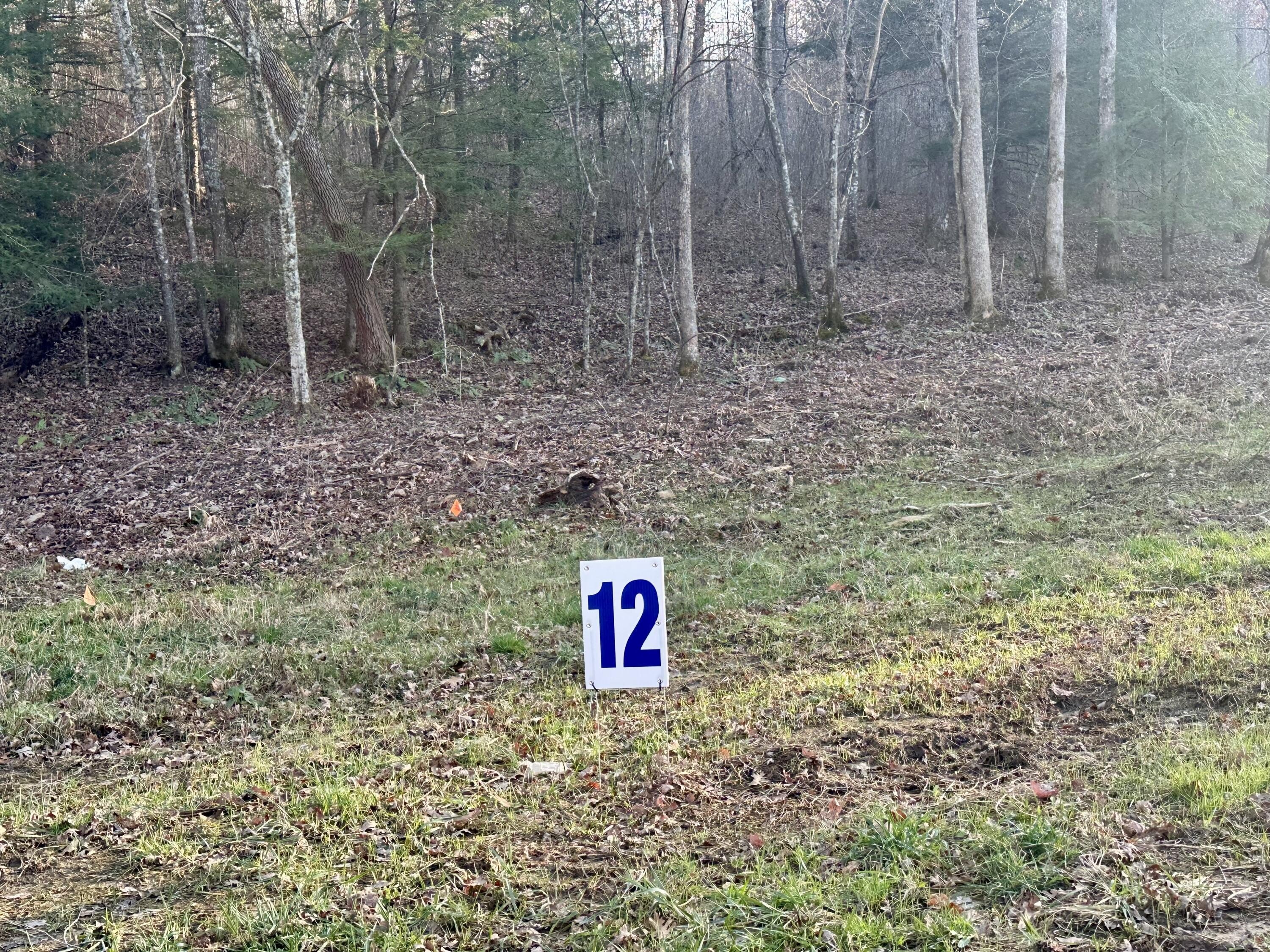 Residential Land in East Bernstadt