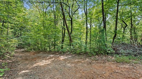 Vacant Lot, Cherry Log, GA