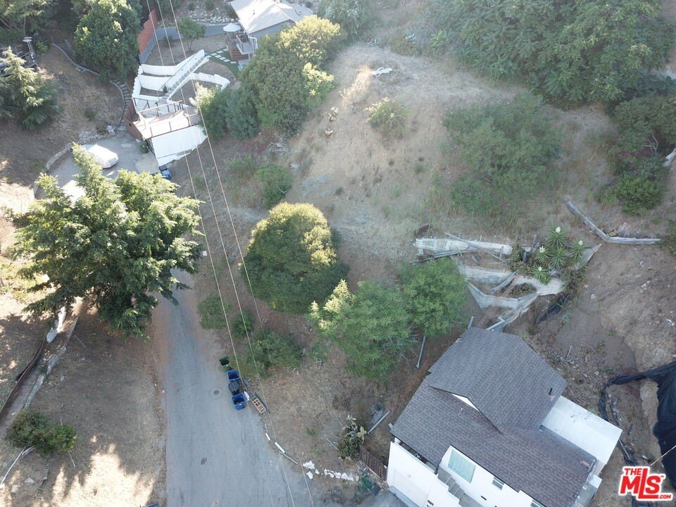 Picture 10