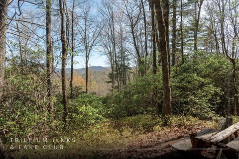 Trillium Homesite with Mountain Views