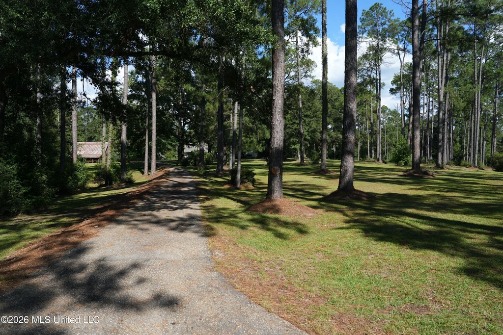 Picture 31