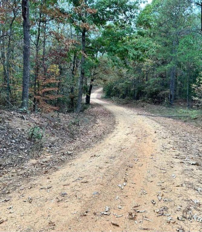 Picture 3