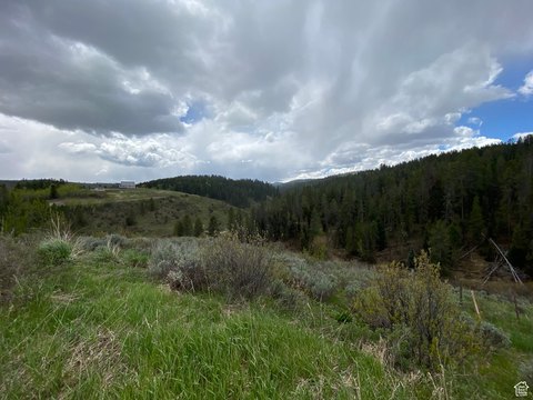 Land in Grouse Creek Ranch