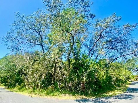 Corner Lot in Cedar Key