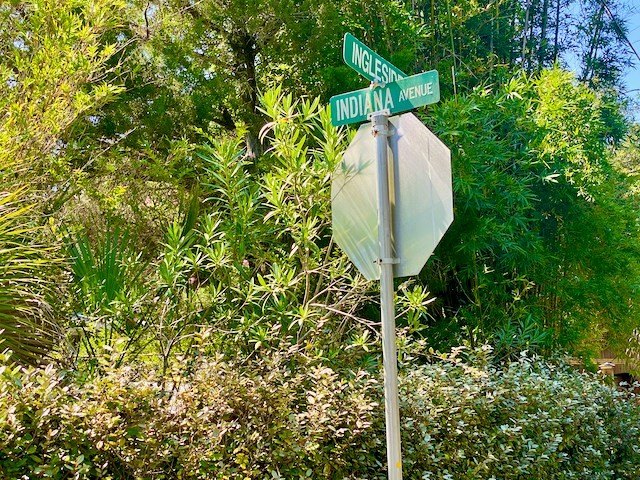Picture 15