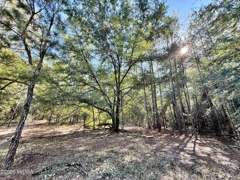 Land, Macon, GA