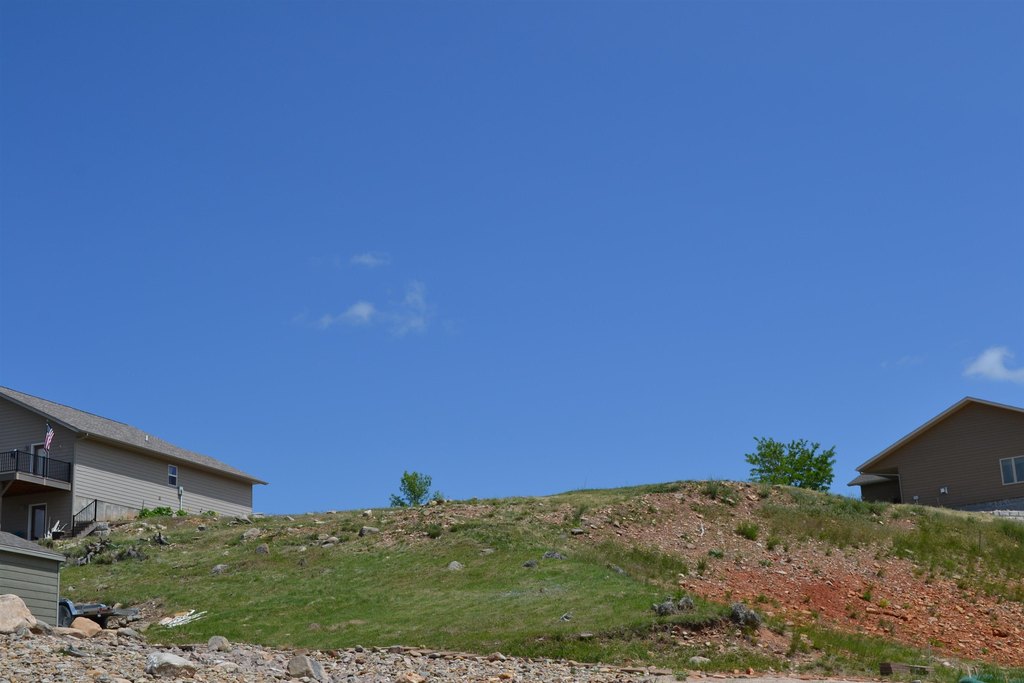 Picture 8