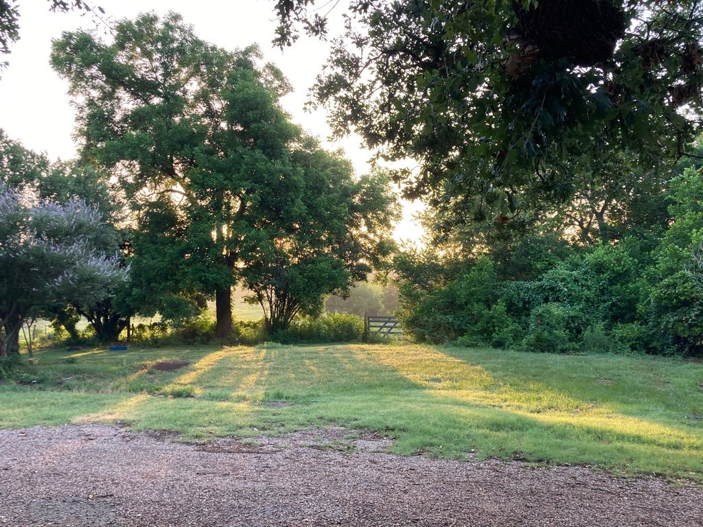 Picture 29