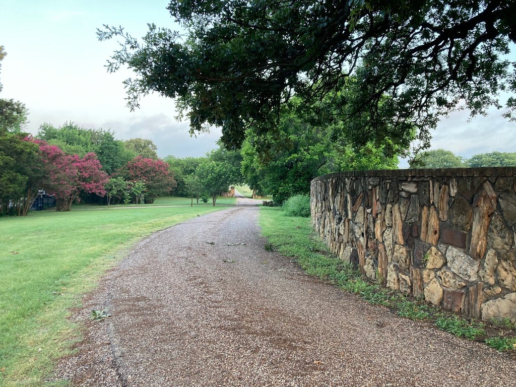 Picture 28
