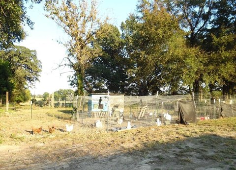 Athens TX Manufactured Home on Acreage