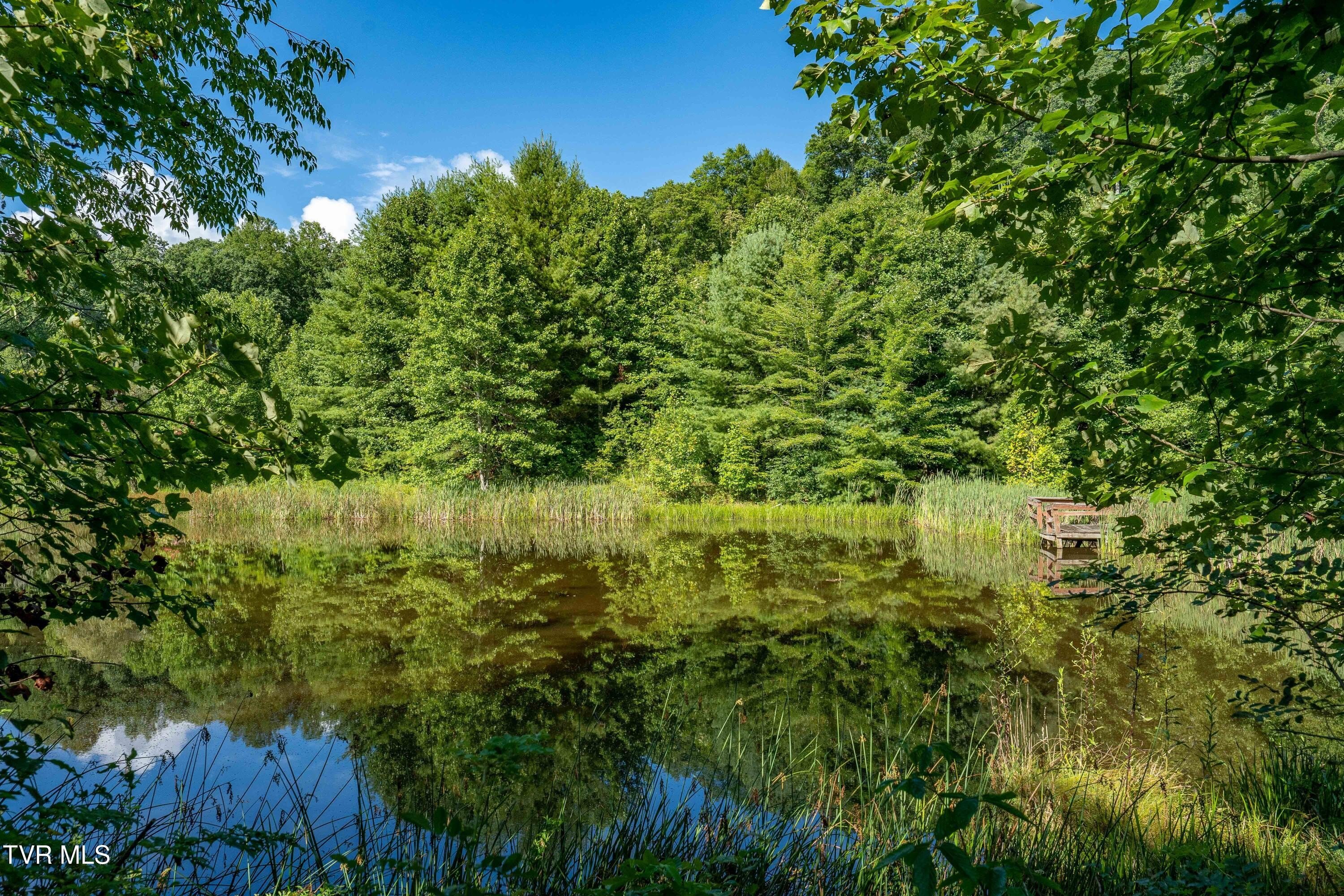 54 Acres Near Ski Resorts