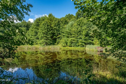 Roan Mountain Land with Home