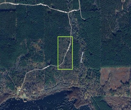 Wooded Hunting and Recreation Land