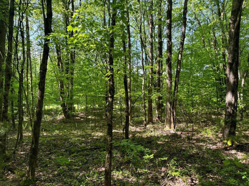 Picture 4