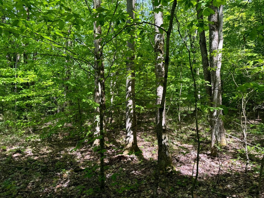 Picture 7
