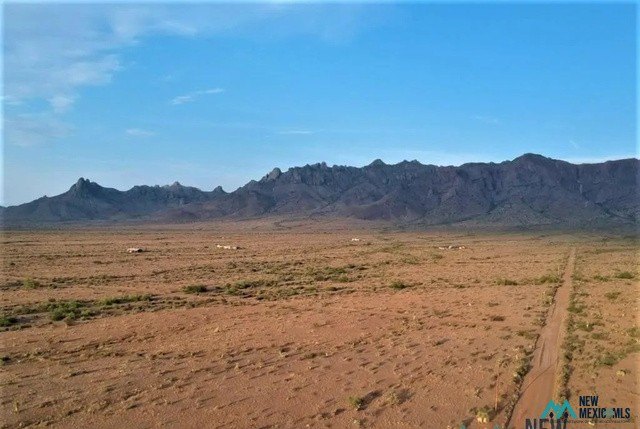 Picture 4