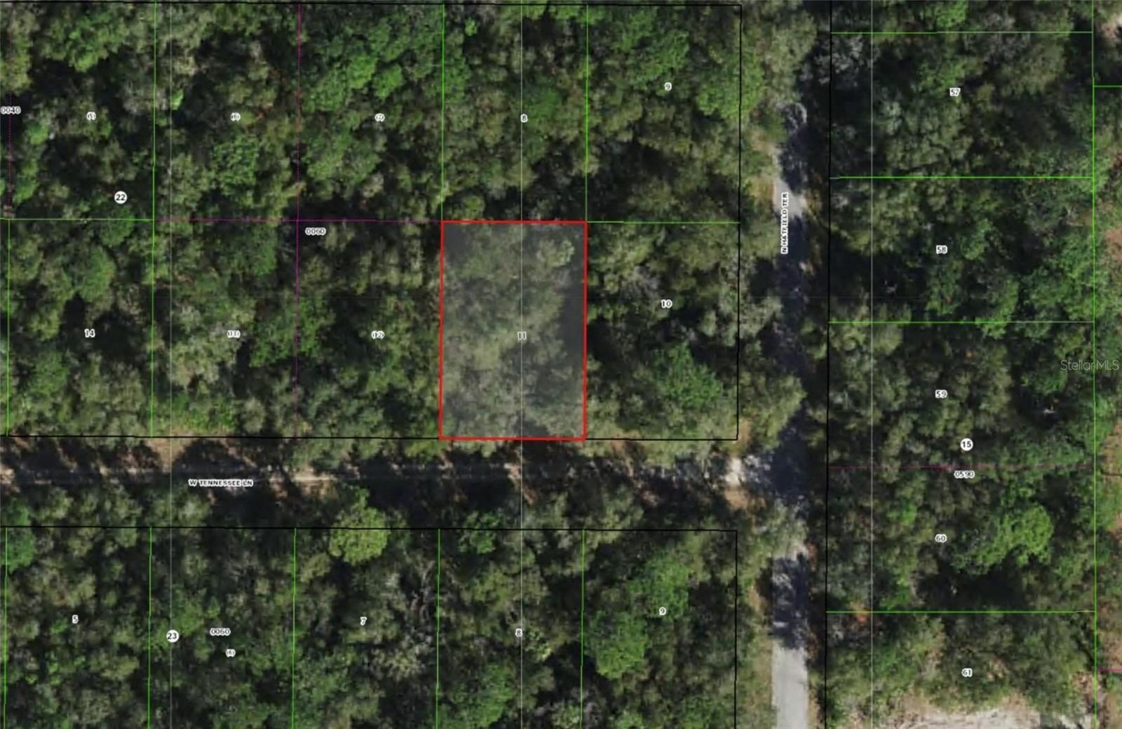 Land - CRYSTAL RIVER, FL