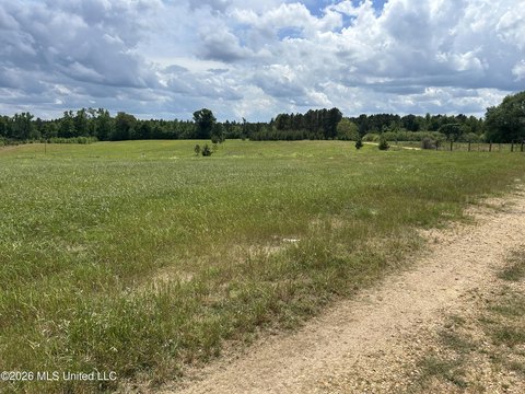 Brookhaven Pasture Tract For Sale