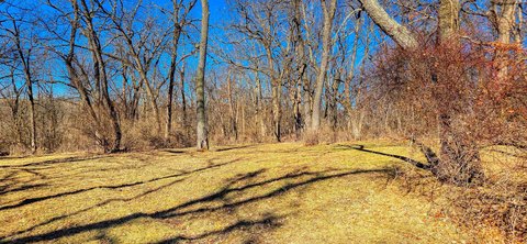 Wooded Lot with Lake Access
