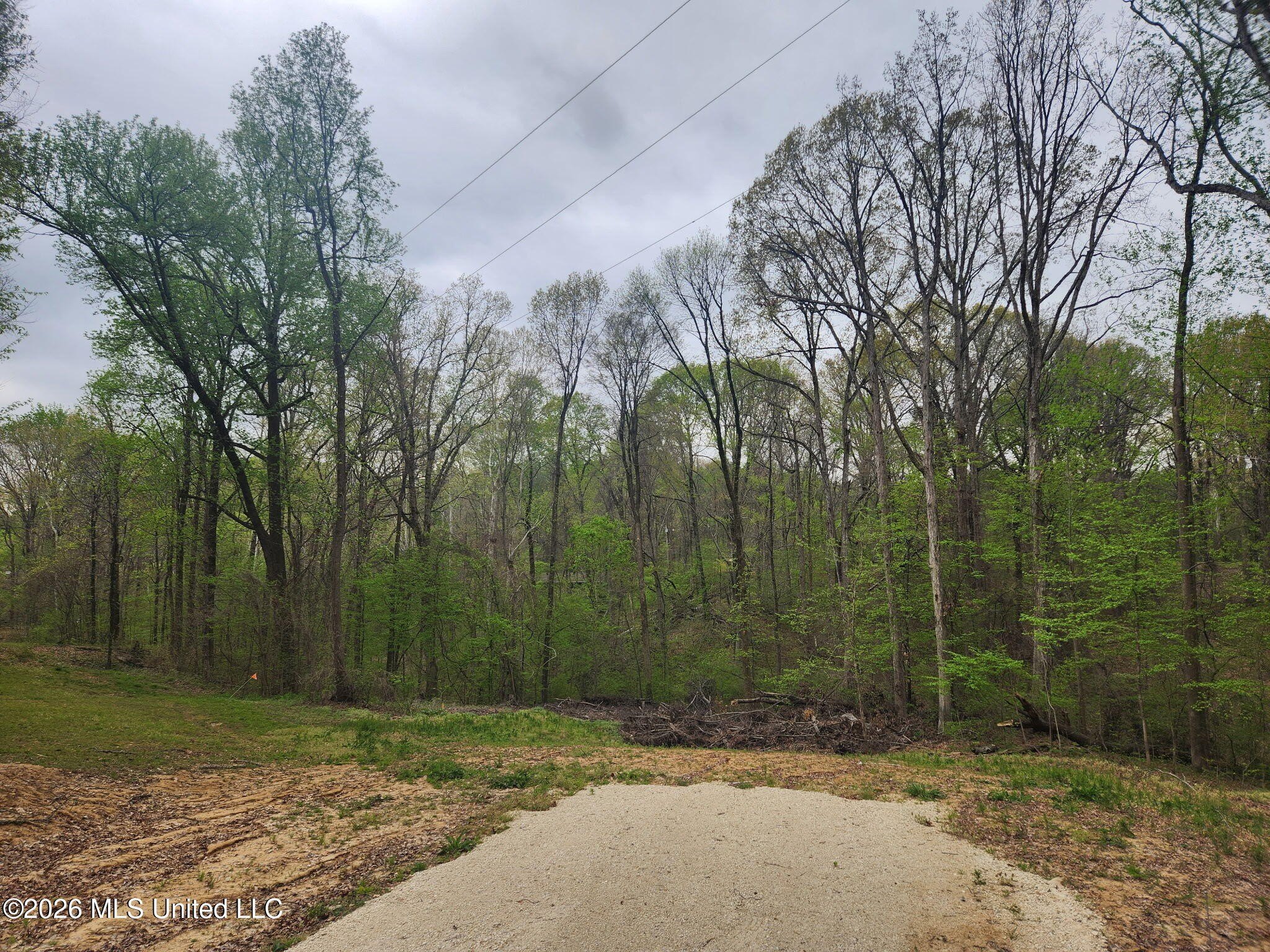 Residential Land in Lake Community