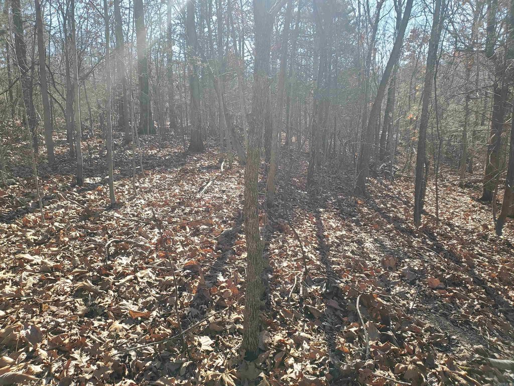 Picture 4