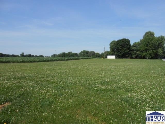 Picture 6