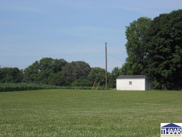 Picture 4
