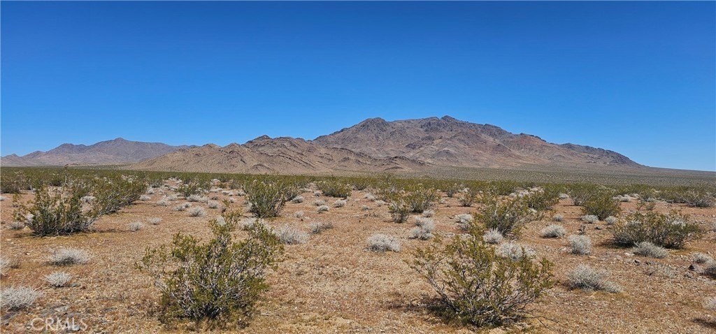 Lucerne Valley Land Parcel