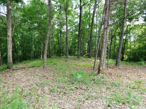 Land Near Lewis Smith Lake