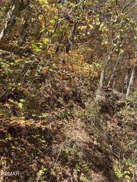 Sevierville Land For Sale