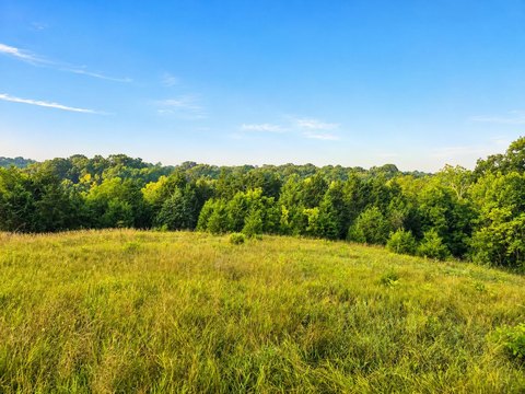 Land, Vevay, IN