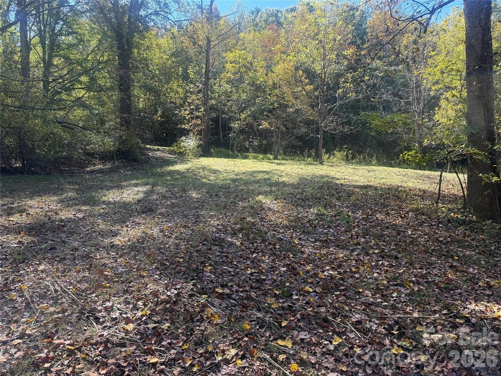 Picture 19