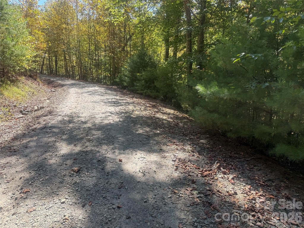 Picture 22