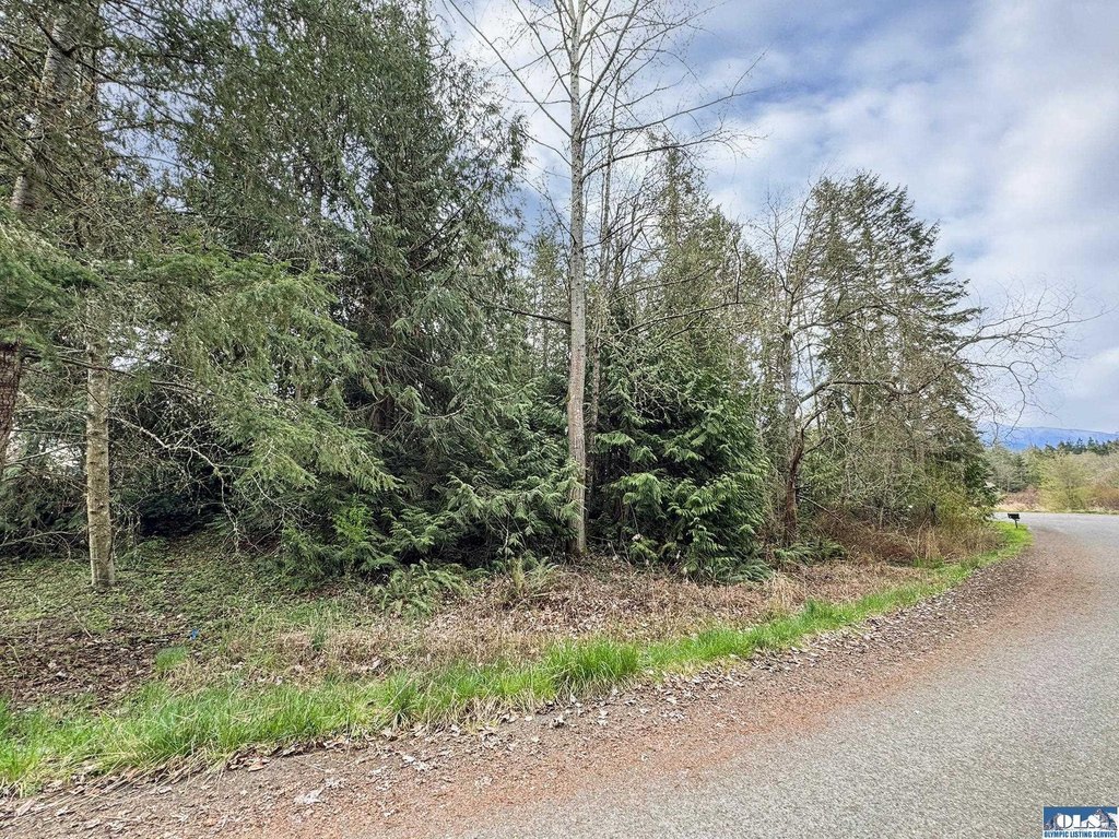 Picture 17