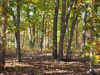 Land, Farmville, VA